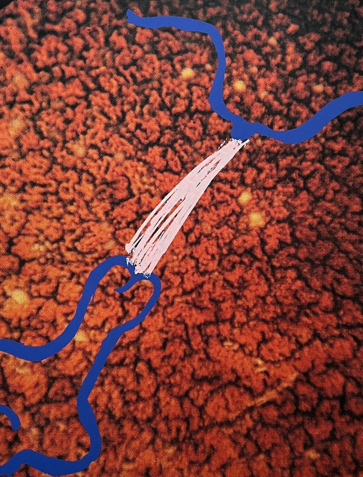 d.o.pe 5