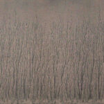 River Avon Mud Drawing, Richard Long