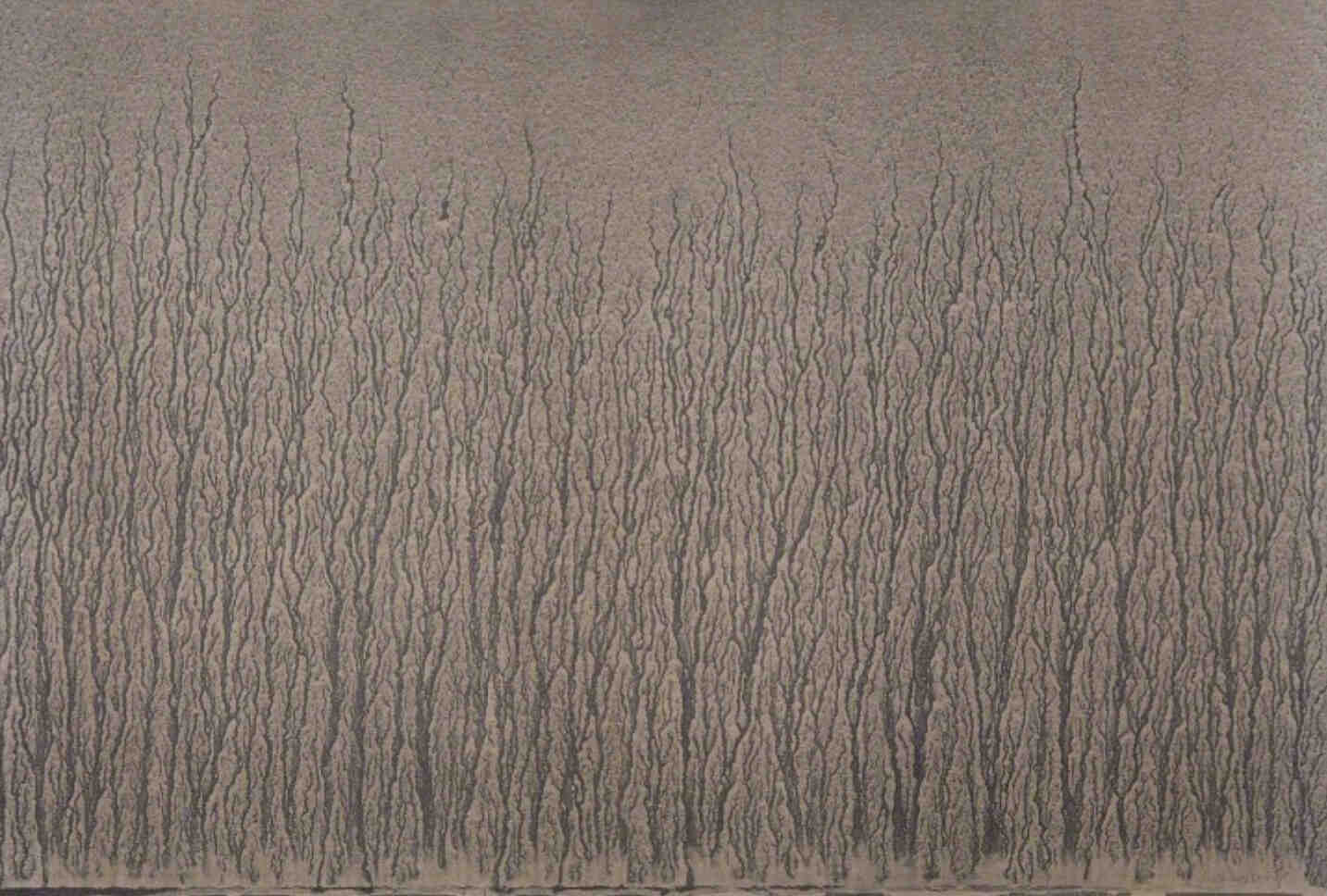 River Avon Mud Drawing, 1989
